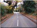 Approaching the  A1156 Felixstowe Road on The Street