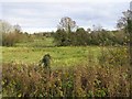 Derrychurra Townland