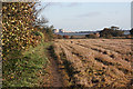 Footpath to Wick Farm