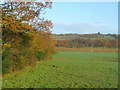 Farmland by the Afon Llan