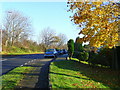 Chestnut Avenue, West Cross