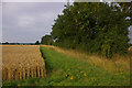 Field edge, Wissett Lodge Farm