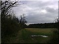 Footpath to Lenborough Woods