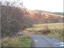 NN8868 : Road up Glen Tilt by Richard Webb