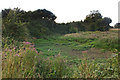 Dried up pond, Spexhall