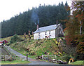 Nantyrhwch - near Dolgoch, Powys