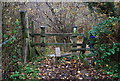 TQ5541 : Stile on the edge of Shadwell Wood by N Chadwick