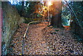 Street light on a footpath, Rusthall