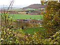 A view towards Chase Wood