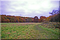 Cheyne Walk Open Space, London N21