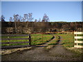 A gate near East Glenton