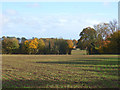 Farmland, Wargrave