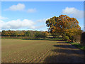 Farmland, Wargrave