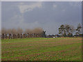 Farmland, Ruscombe