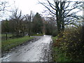 Lane to Penrhiwgoch and Cwm-bryn