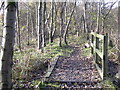 Footpath from New Hall Hey