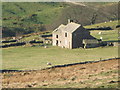 Ruined farmhouse above Allenheads