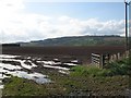 Teviot floodplain