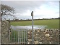 Flooded path near Plas Llanfaelog