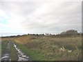 View north-westwards across wetlands towards Ty-llwyd