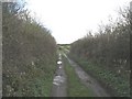 Potholed minor road between high hedges