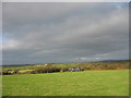 The countryside north-west of Yr Allt cottage