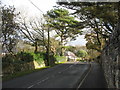 Woodland and cottage near Llanfaelog Parish Church