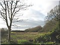 An area of poorly drained land opposite Llanfaelog Parish Church