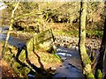 Ruin of mill weir at Brock Bottom