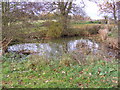 TM3560 : Pond at the Riverside Centre by Geographer