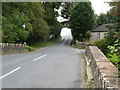 Tree arch and Bridge near Shiskine on the Isle of Arran