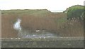 Stream discharging from Llyn Maelog below Pont Tywyn-y-llyn