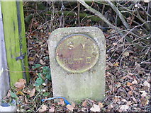 TM3055 : Water Main Marker by Geographer