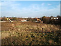 Wasteland near Colney Hatch Lane