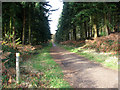 TG3130 : Path to Edingthorpe Heath by Evelyn Simak