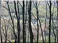 Lyd Valley House seen from Longham Woods