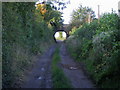 Bridleway under railway bridge