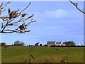 New houses, Hillhead