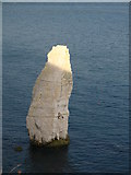 SZ0582 : Old Harry Rock by Andy Jamieson