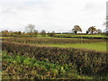 Fields near Kimbolton