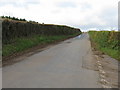 Lane to Pudleston near Ford Abbey