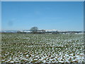 Farmland near Goosnargh