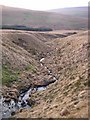 SN8920 : Tributary of Nant Gyhirych by Alan Bowring