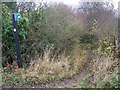 Bridleway to West Dean Farm