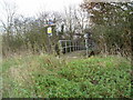 Foot bridge over the river Crane