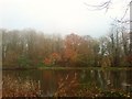 SM9618 : The lake in Autumn by Deborah Tilley