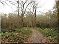 Scadbury Park Nature Reserve, Chislehurst