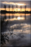 TL4381 : Sunset on Mepal fishing lake by Bob Jones