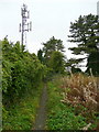 Footpath and phone mast