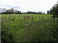 Footpath to Hawthorn Farm